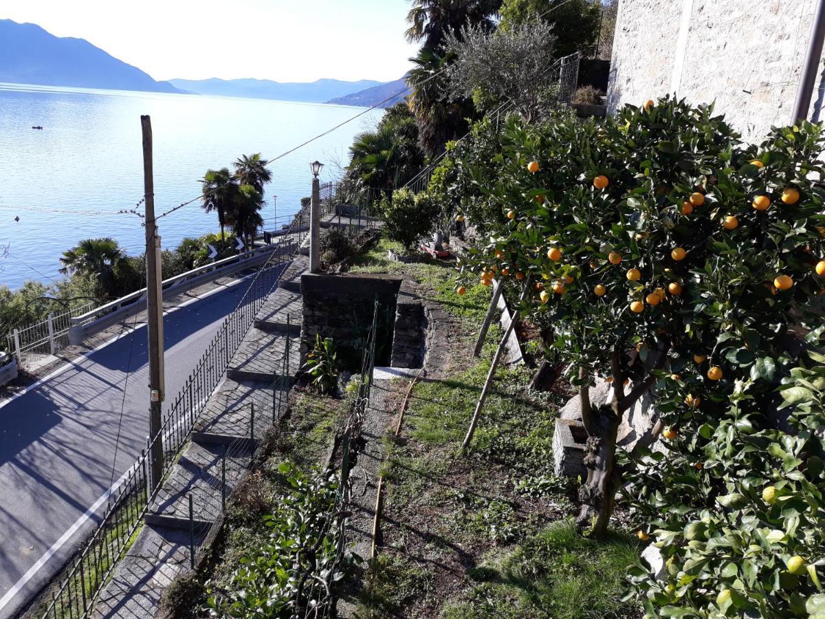 Casa Ai Castelli Daire Cannobio Dış mekan fotoğraf