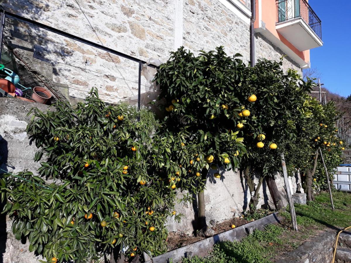 Casa Ai Castelli Daire Cannobio Dış mekan fotoğraf